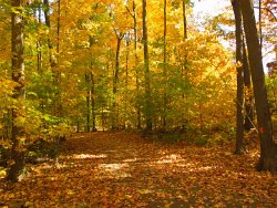 34 25-Oct-13 12-38-55 P7100 028